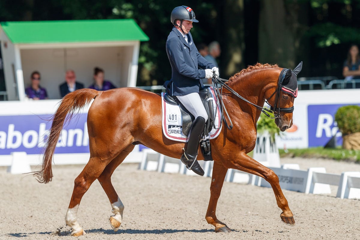 news-headerbild-24082019-Paradressur