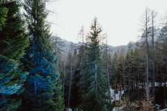 GEPA-20260305-101-156-0090