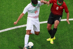6-copyright-OIS