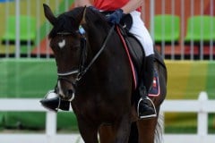 XV. Paralympische Sommerspiele Rio de Janeiro 2016
