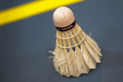 VIENNA,AUSTRIA,19.FEB.15 - BADMINTON  - Austrian Open, men. Image shows a shuttlecock. Photo: GEPA pictures/ Philipp Brem