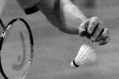 GEPA-3101094321s - WIEN,AUSTRIA,31.JAN.09 - SPORT DIVERS, BADMINTON - Oesterreichische Staatsmeisterschaften. Bild zeigt ein Feature von Heimo Goetschl (AUT). Foto: GEPA pictures/ Mario Kneisl